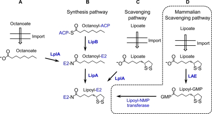 FIG. 3.