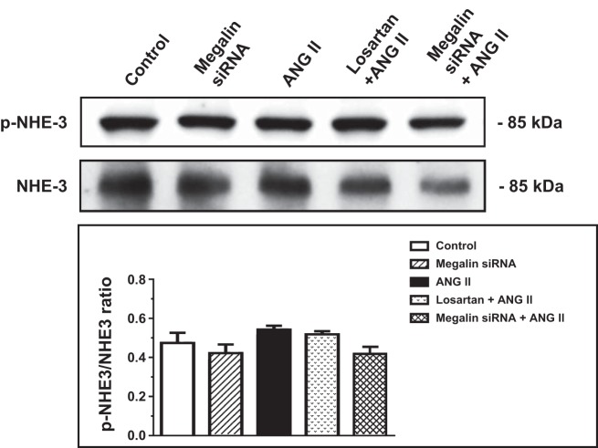 Fig. 9.