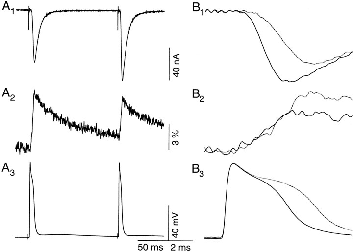 Fig. 2.