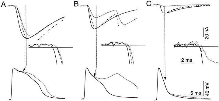 Fig. 5.