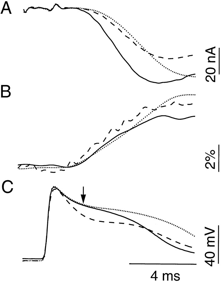 Fig. 3.