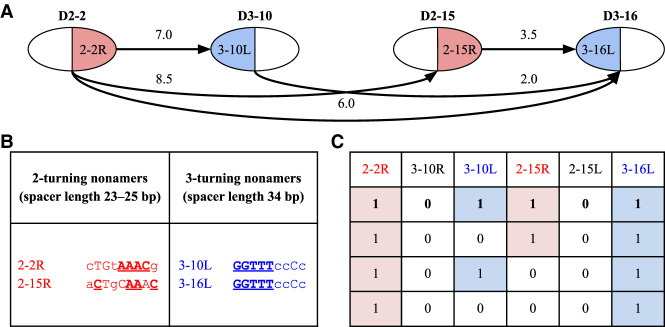 Figure 3.