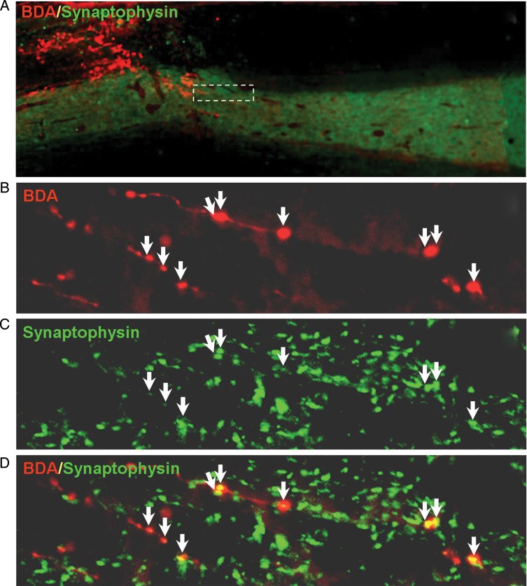 Figure 4.