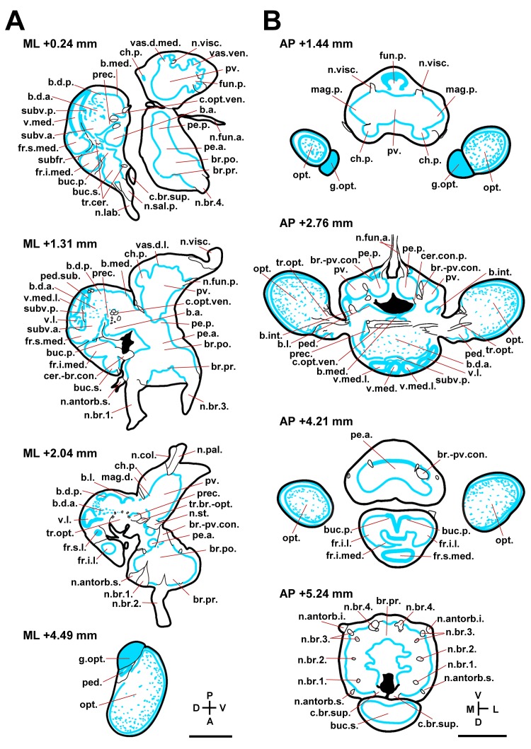 Fig. 3
