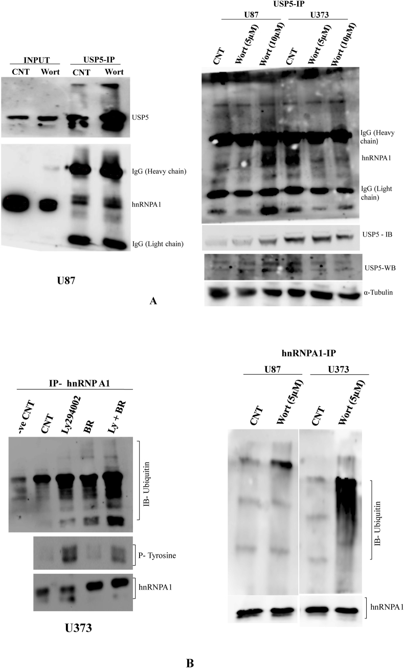 Fig. 4