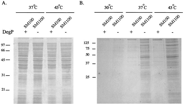 FIG. 8.