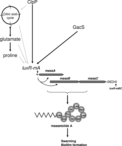 FIG. 8.