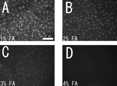 Fig. 1