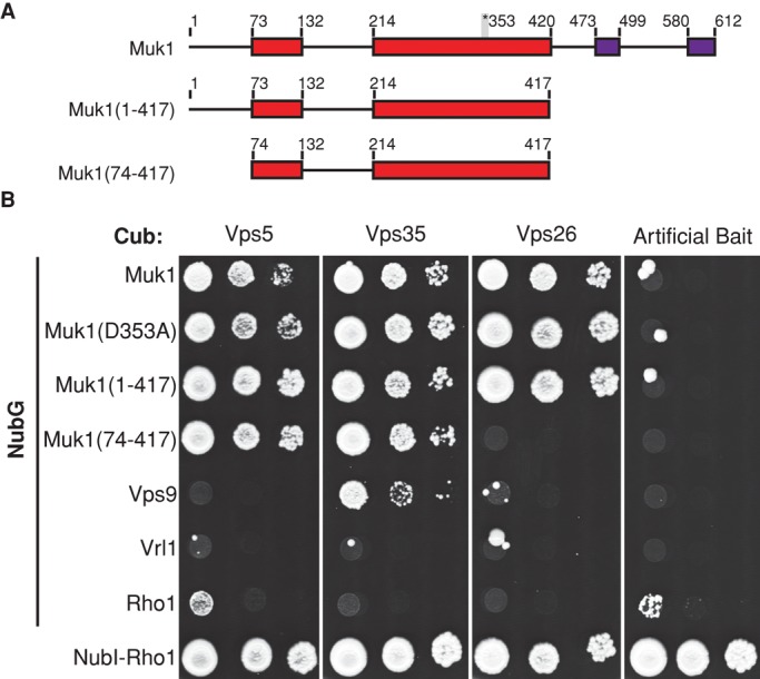 FIGURE 3: