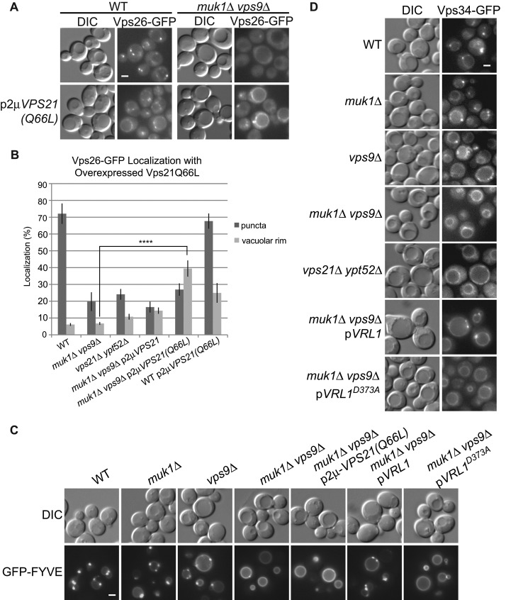 FIGURE 6: