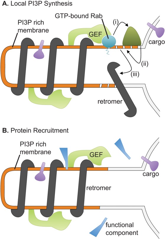 FIGURE 7: