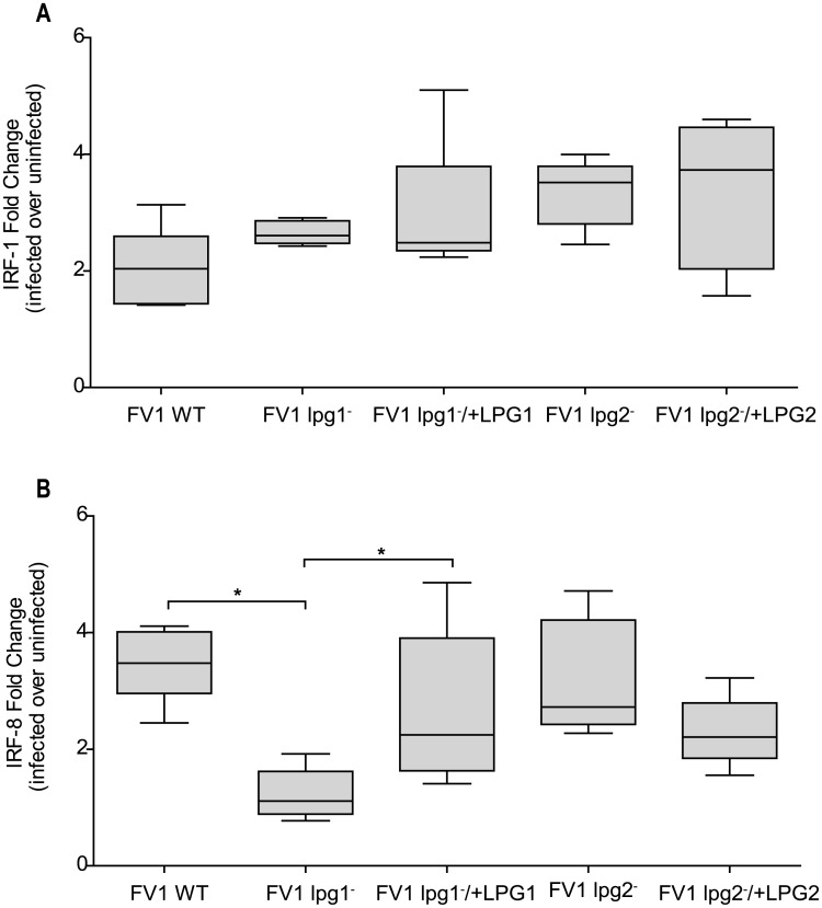 Fig 7