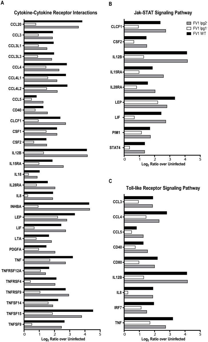 Fig 6