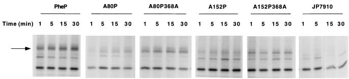 FIG. 8