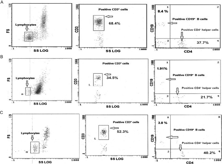 Fig. 7