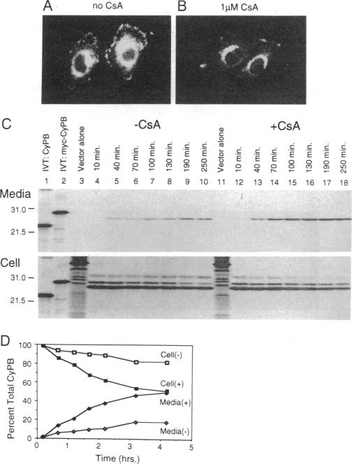 graphic file with name pnas01131-0465-a.jpg