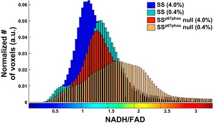 Fig. 3.