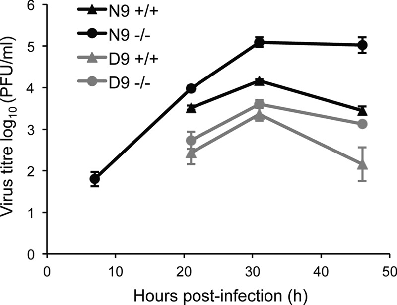 FIG 6