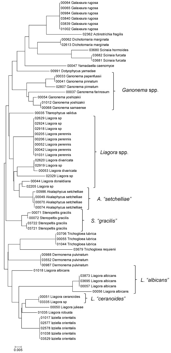 Figure 23