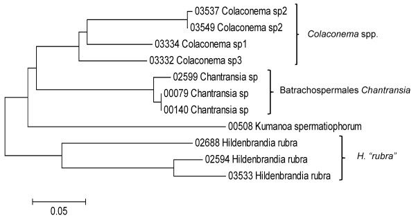 Figure 9