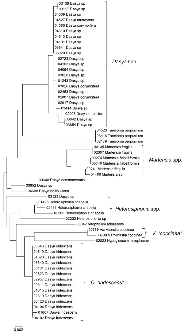 Figure 32