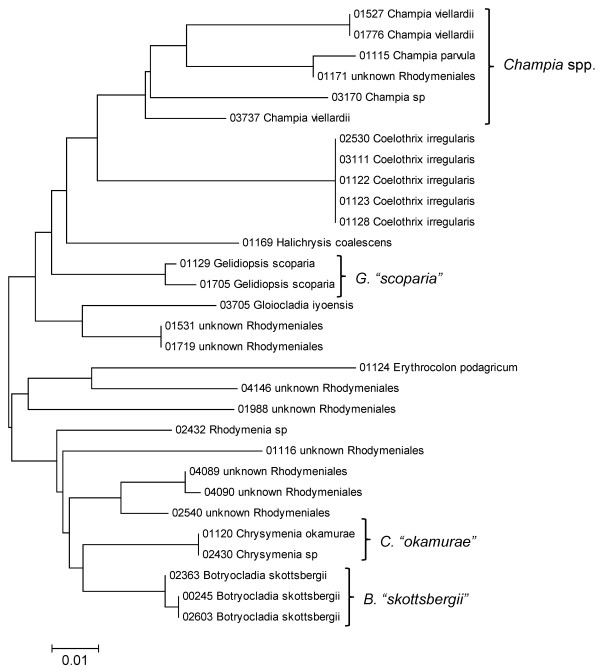 Figure 26