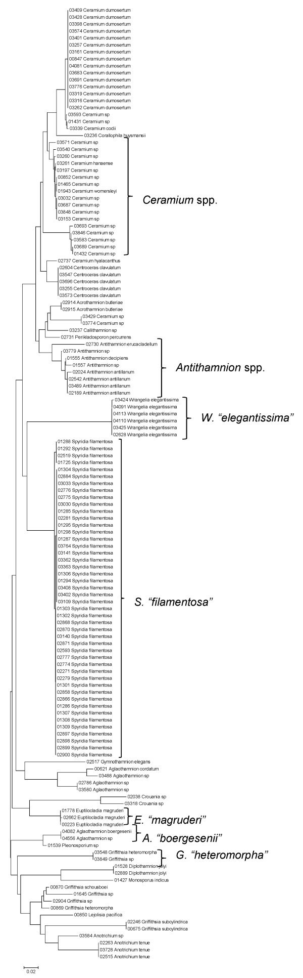 Figure 28