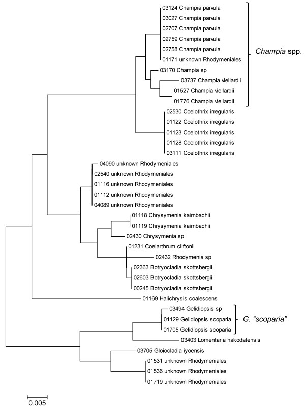 Figure 25