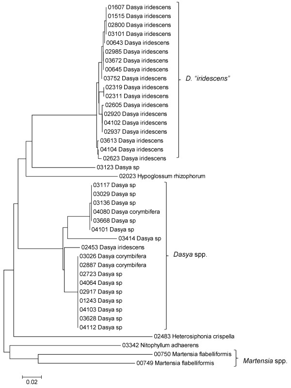 Figure 33