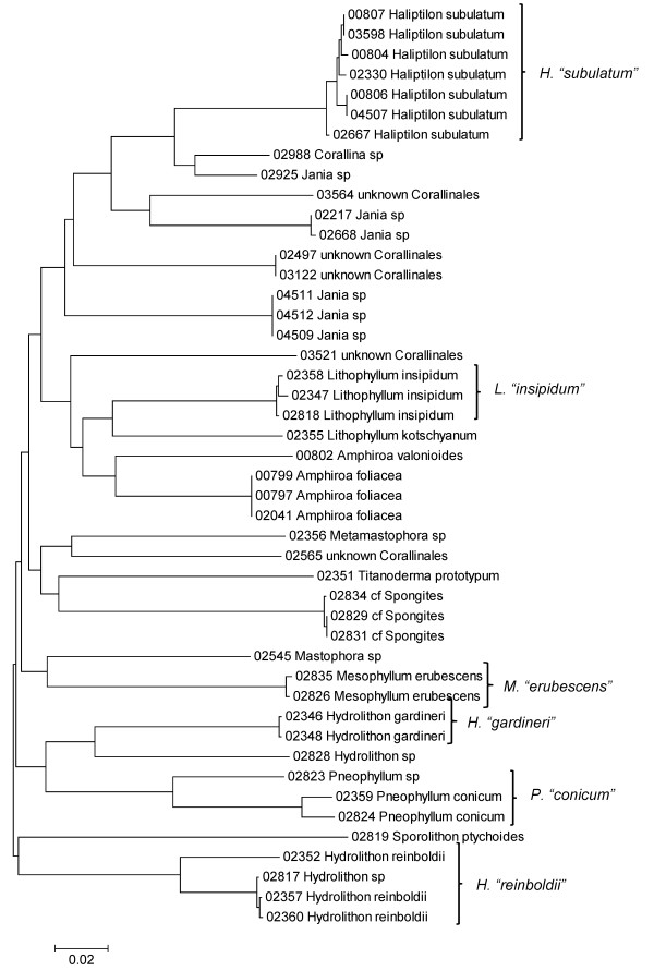 Figure 15