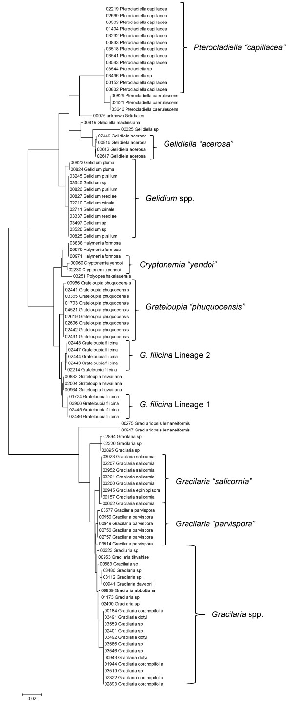 Figure 19