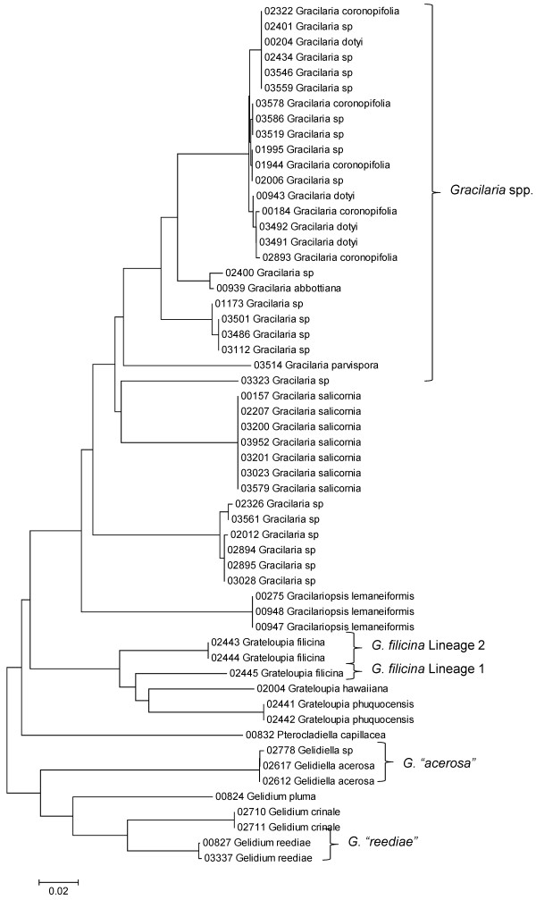 Figure 21