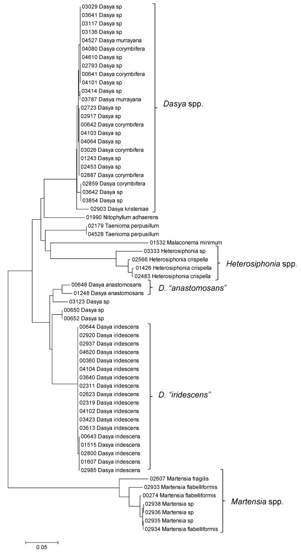 Figure 31