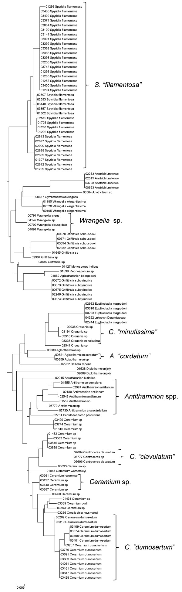 Figure 29