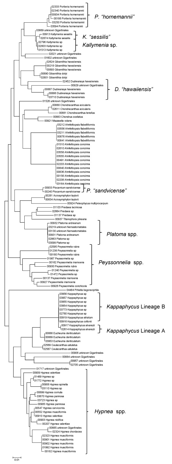 Figure 17