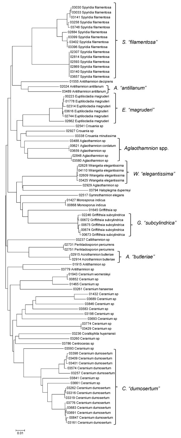 Figure 30