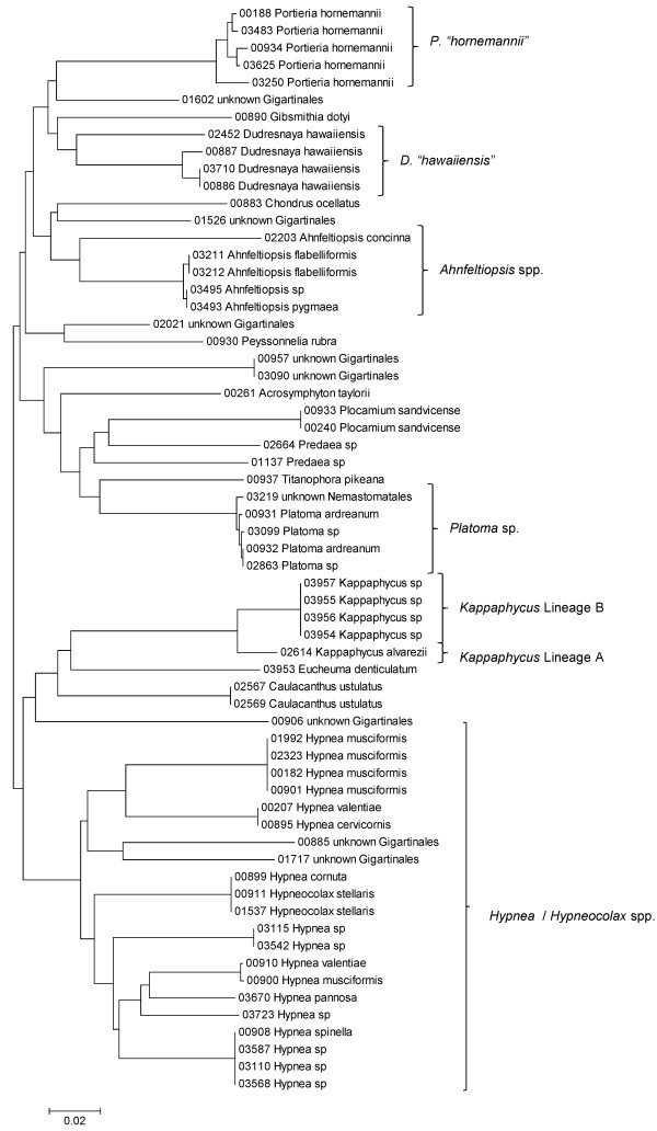 Figure 18