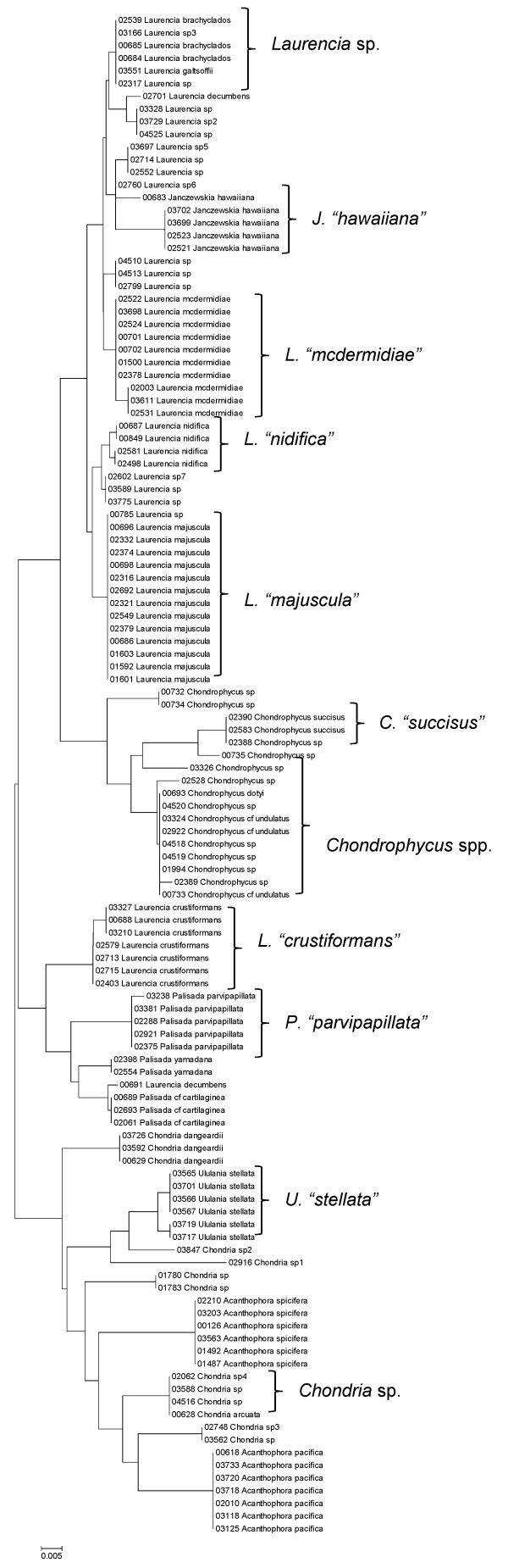 Figure 35