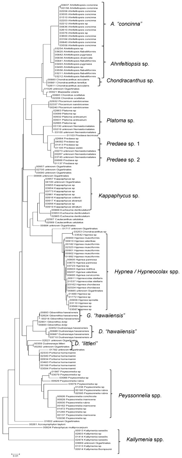 Figure 16