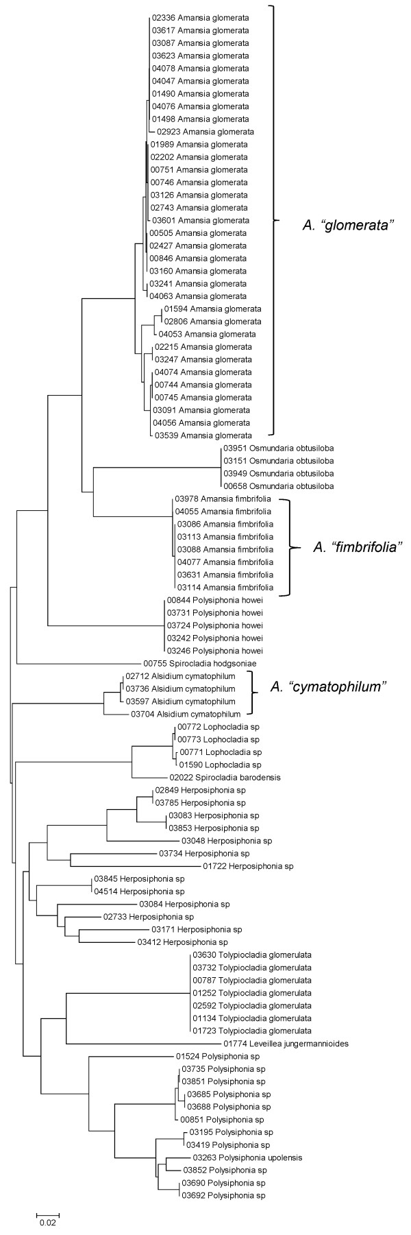 Figure 39