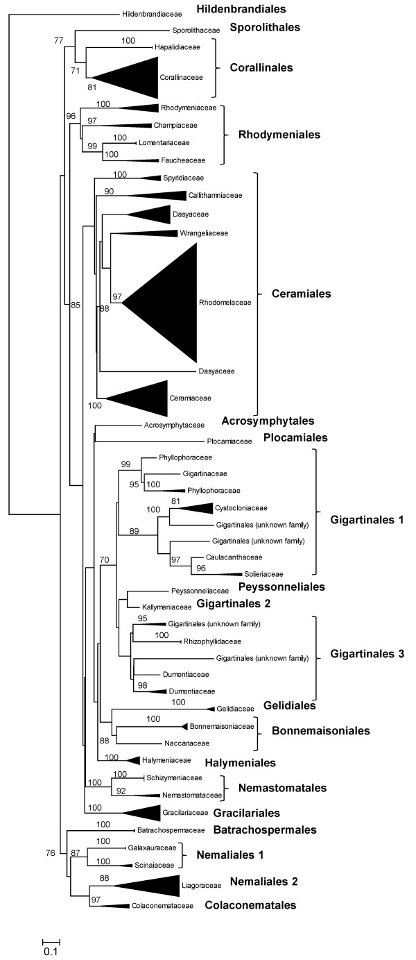 Figure 40