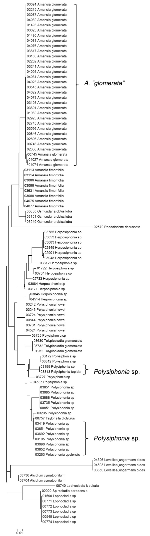 Figure 37