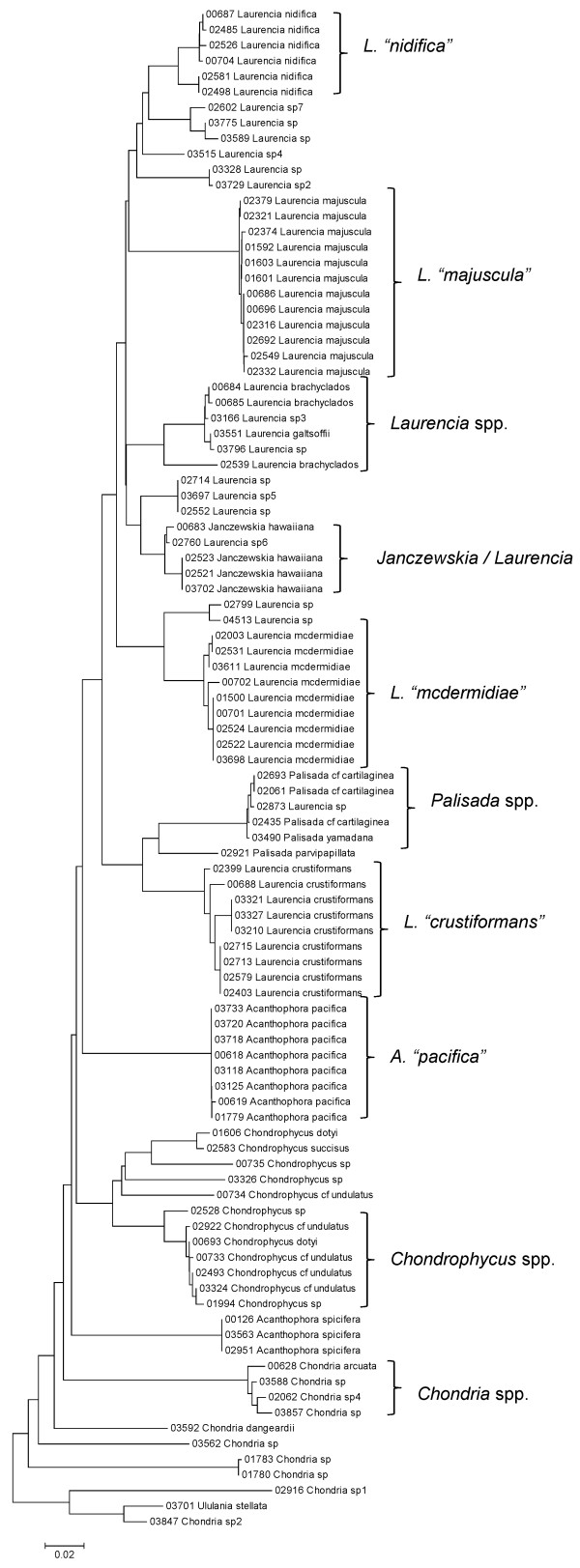 Figure 36