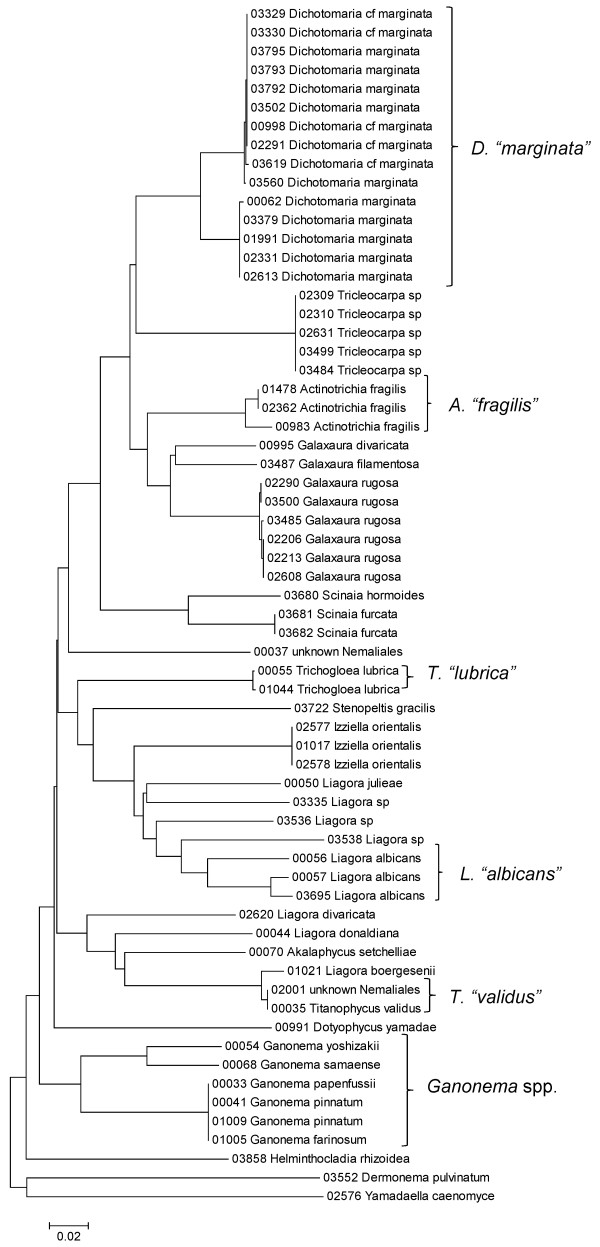 Figure 24