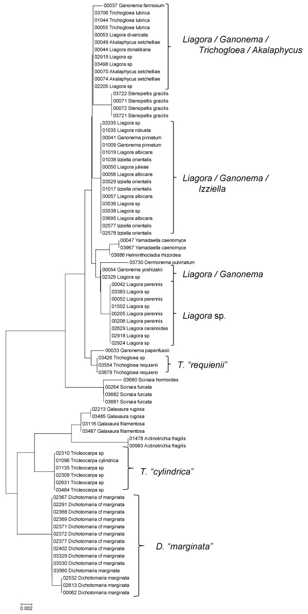 Figure 22