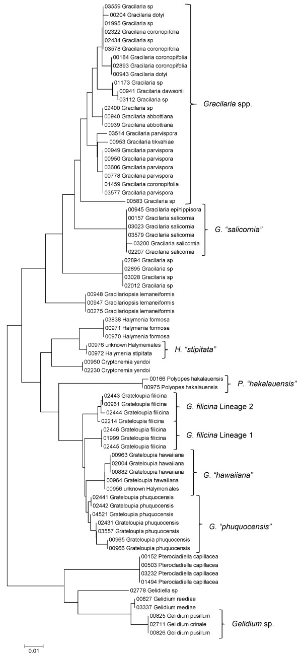 Figure 20