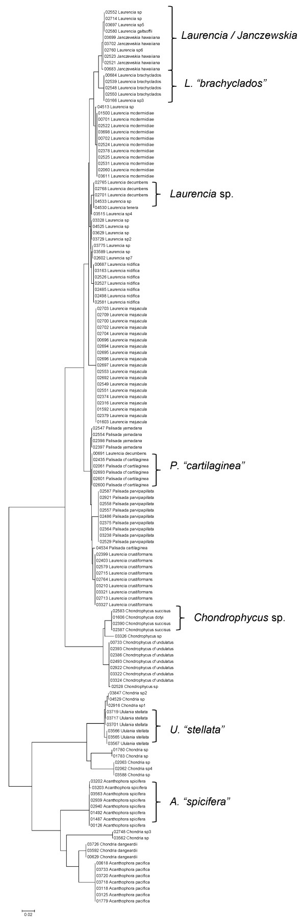 Figure 34