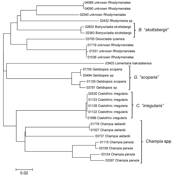 Figure 27