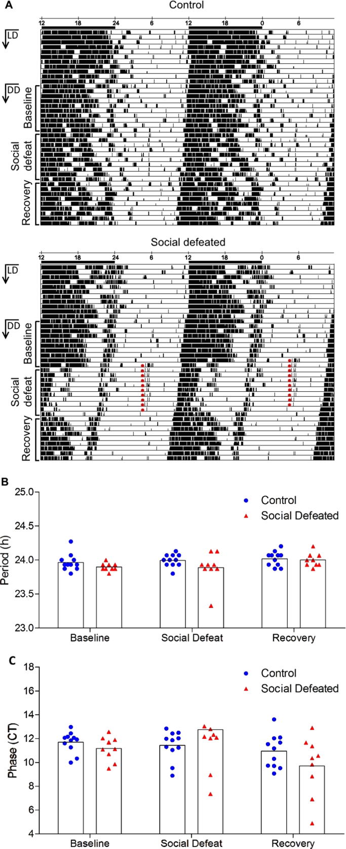 Fig. 4