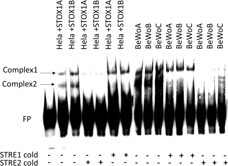 Figure 6